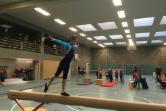 Turnfest_240120-6-Kopie