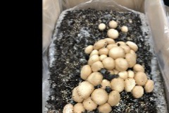 1E26DA34-EDAC-493D-B33C-30B026B23CC7