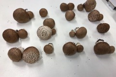 4A52846D-639E-4172-B1B7-9E957792DAAD