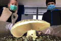 4D3314B3-33AB-4DA6-88A7-E26D125545CB