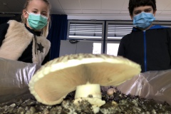 7826597C-427D-4BF7-B1F4-AE29116EF4F0