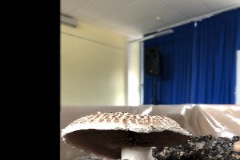 8A0D7832-CDF7-4216-8508-FB597FF81705