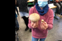 9E50868E-3AE8-4A0B-A5AC-AE17A9680300