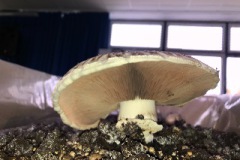 AA00486B-523F-456F-917F-E843A3D467E1