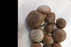 AC6E0949-CCBA-44B4-A825-FD00B8A994E5