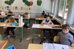 Knabbergemüse_16062020-2-Kopie