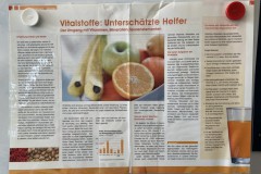 Nudelsalat_22062020-25-Kopie