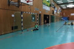 Handballturnier_IGS_160318 (22) (Kopie)