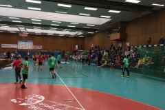 Handballturnier_IGS_160318 (5) (Kopie)