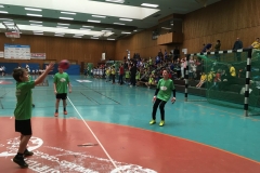 Handballturnier_IGS_160318 (6) (Kopie)