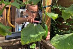 Insektenhotels_23052022-1