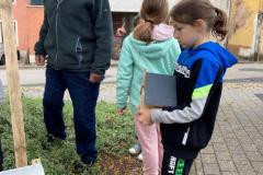 Bienenhotels_09062022-10