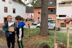 Bienenhotels_09062022-15