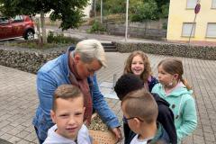 Bienenhotels_09062022-2