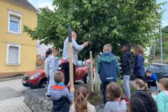 Bienenhotels_09062022-3