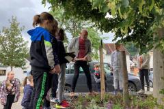 Bienenhotels_09062022-4