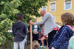 Bienenhotels_09062022-5