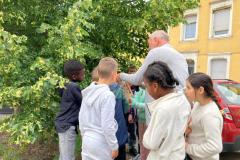 Bienenhotels_09062022-6