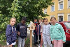 Bienenhotels_09062022-7