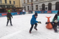 Eislaufen_070119 (22)