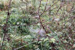 Wandertag_30092021-14