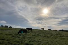 Wandertag_30092021-15