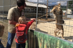 Wanderung_Zirkus Krone_160518 (79) (Kopie)