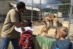 Wanderung_Zirkus Krone_160518 (85)