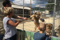 Wanderung_Zirkus Krone_160518 (90) (Kopie)